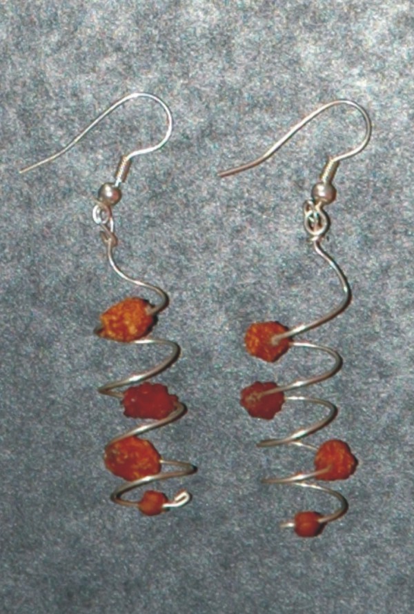 earrings berries